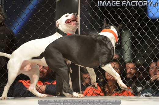 2012-04-21 Milano in the cage 2 - Mixed Martial Arts 0379 Siamo contro il combattimento fra cani